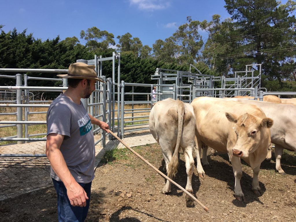 calmer farmer short courses